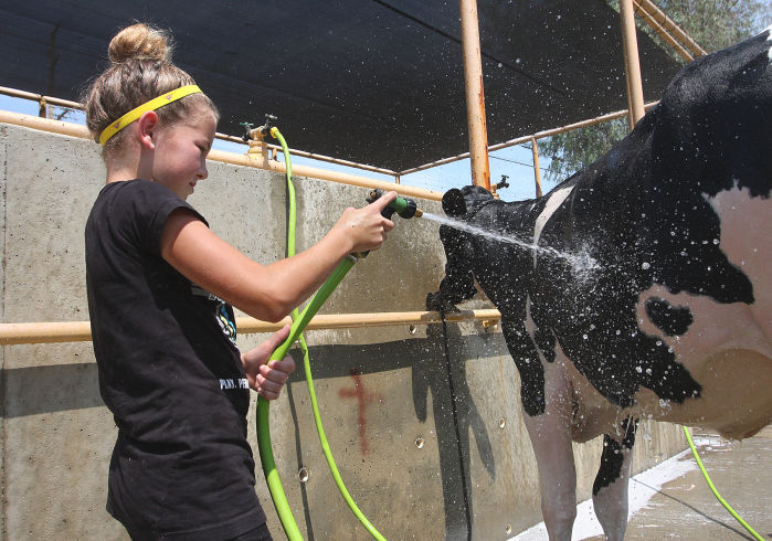 Fair Heat in check at Kings Fair
